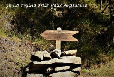 fontana barbone valle argentina