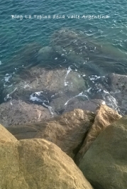 mar ligure